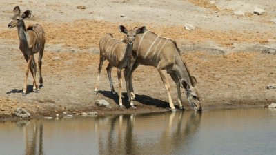 Namibia_3588.jpg