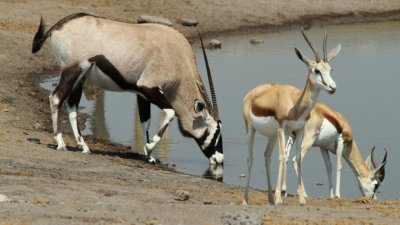 Namibia_3685.jpg