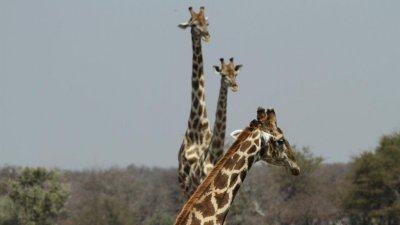 Namibia_3709.jpg