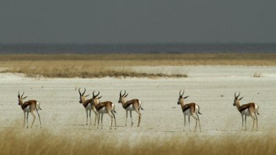 Namibia_3844.jpg