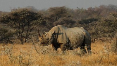 Namibia_3945.jpg