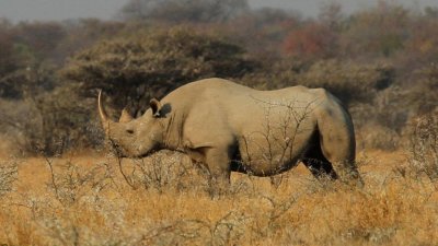 Namibia_3946.jpg