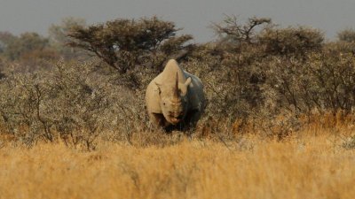 Namibia_3953.jpg