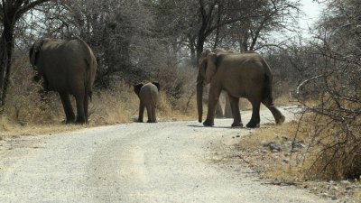 Namibia_4157.jpg