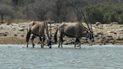 Namibia_4188.jpg