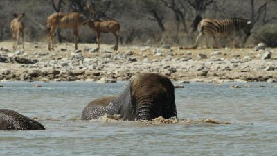 Namibia_4342.jpg