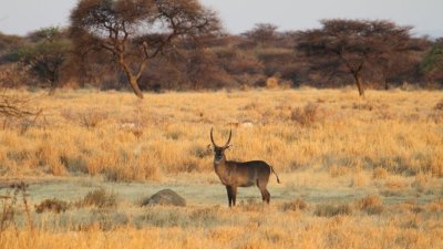Namibia_4428.jpg