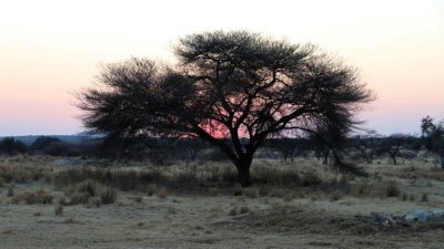 Namibia_4451.jpg