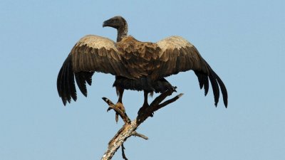 Namibia_4521.jpg