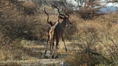 Namibia_4531.jpg