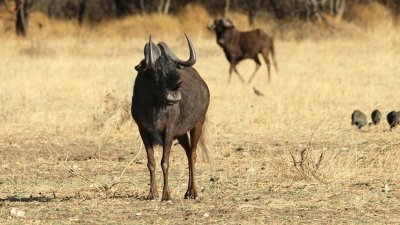 Namibia_4548.jpg