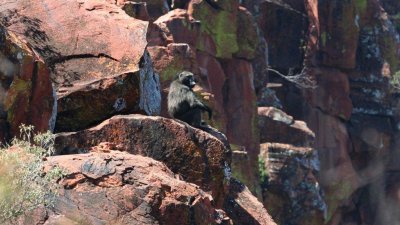 Namibia_4496.jpg