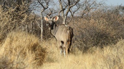 Namibia_4501.jpg