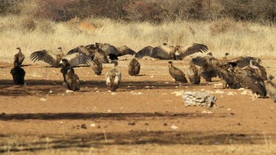 Namibia_4518.jpg