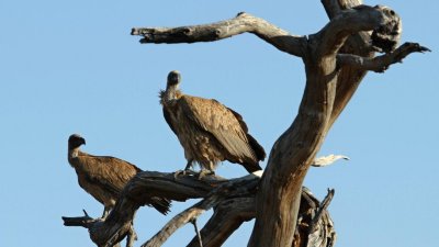 Namibia_4572.jpg