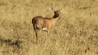 Namibia_4577.jpg