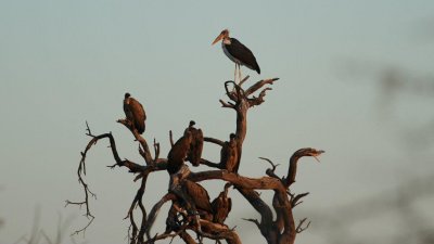 Namibia_4585.jpg