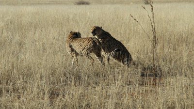 Namibia_0305.jpg