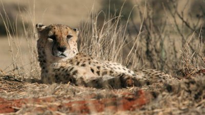 Namibia_0322.jpg