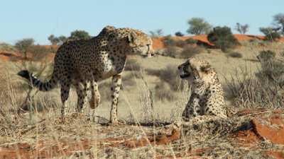 Namibia_0325.jpg
