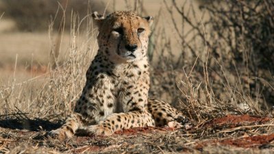 Namibia_0343.jpg