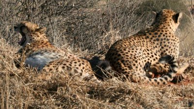 Namibia_0347.jpg