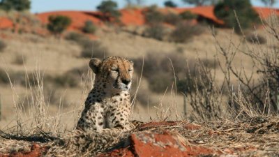 Namibia_0349.jpg