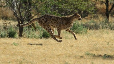 Namibia_4587.jpg