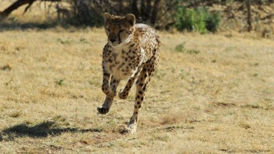 Namibia_4597.jpg