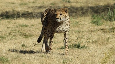 Namibia_4602.jpg