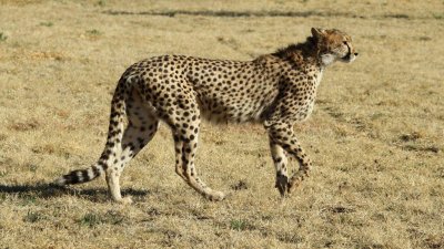 Namibia_4607.jpg