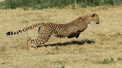 Namibia_4628.jpg