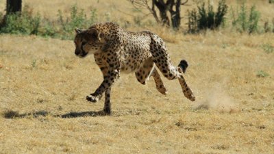 Namibia_4645.jpg