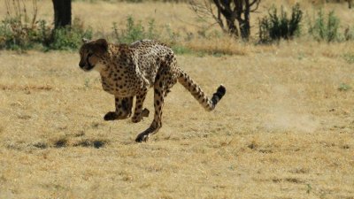 Namibia_4646.jpg