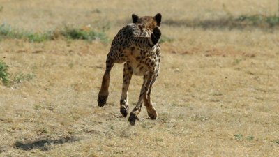 Namibia_4664.jpg
