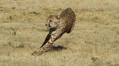 Namibia_4687.jpg