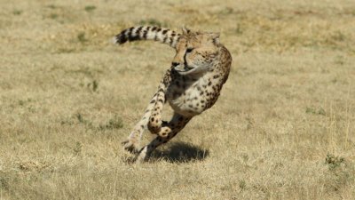 Namibia_4688.jpg