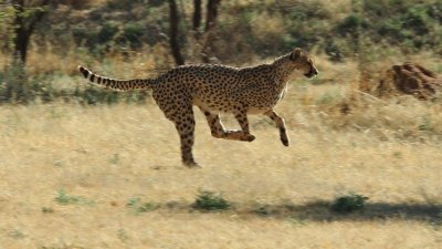 Namibia_4712.jpg