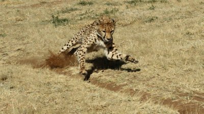 Namibia_4735.jpg
