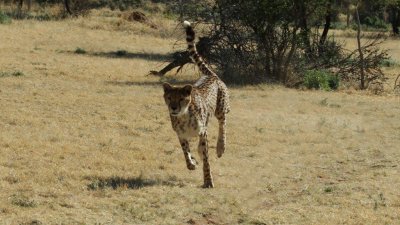 Namibia_4749.jpg