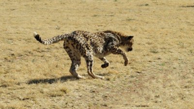 Namibia_4761.jpg