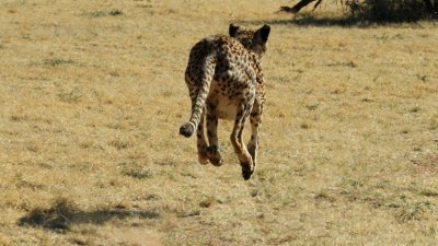 Namibia_4838.jpg