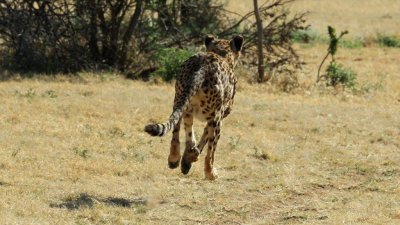 Namibia_4843.jpg