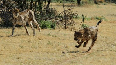 Namibia_4881.jpg