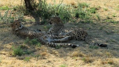 Namibia_4920.jpg