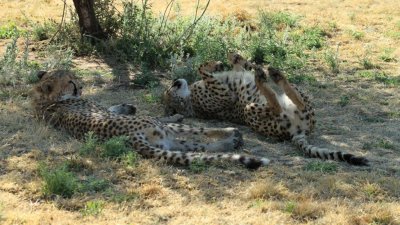 Namibia_4921.jpg