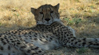 Namibia_4929.jpg