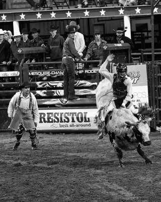 Mesquite Rodeo