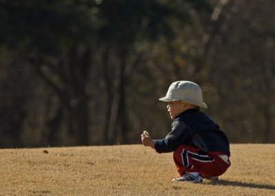 Little Boy in the Park