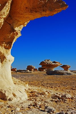 Black & White Desert 【黑白沙漠】